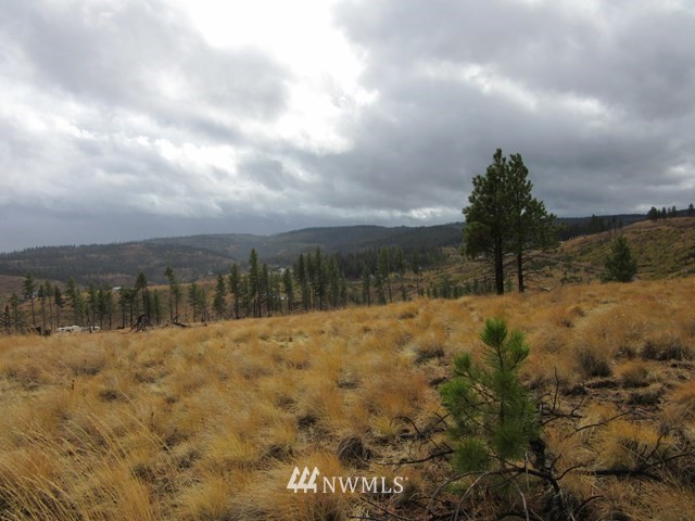 10 Dry Pataha Road Pomeroy, WA 99347 - Photo 3 of 9