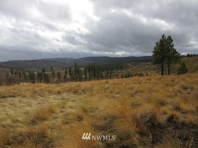 10 Dry Pataha Road Pomeroy, WA 99347 - Photo 4 of 9