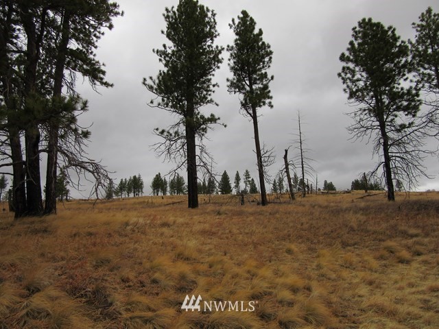 10 Dry Pataha Road Pomeroy, WA 99347 - Photo 5 of 9
