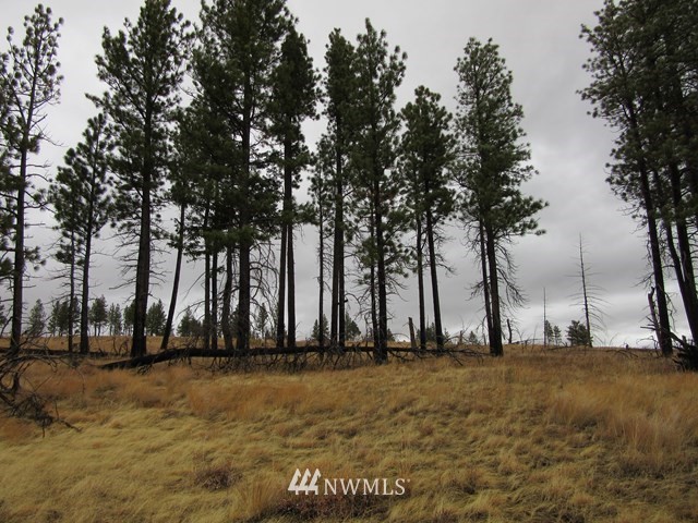 10 Dry Pataha Road Pomeroy, WA 99347 - Photo 6 of 9
