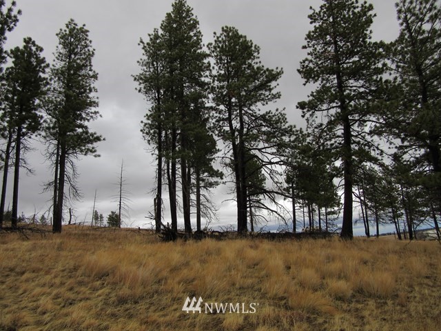 10 Dry Pataha Road Pomeroy, WA 99347 - Photo 7 of 9