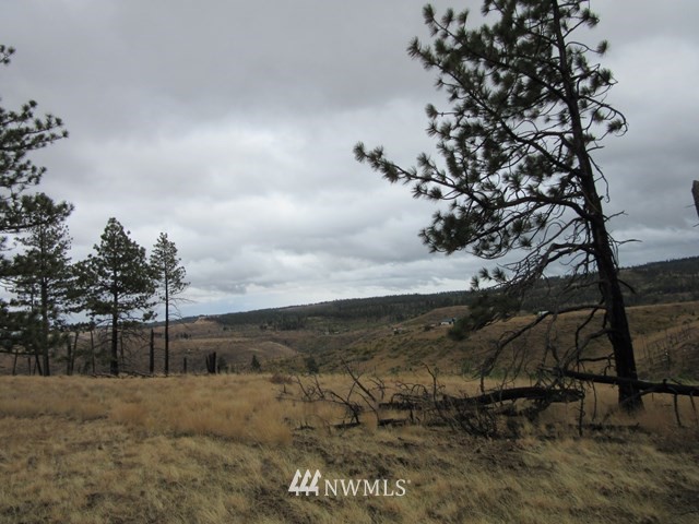 10 Dry Pataha Road Pomeroy, WA 99347 - Photo 8 of 9