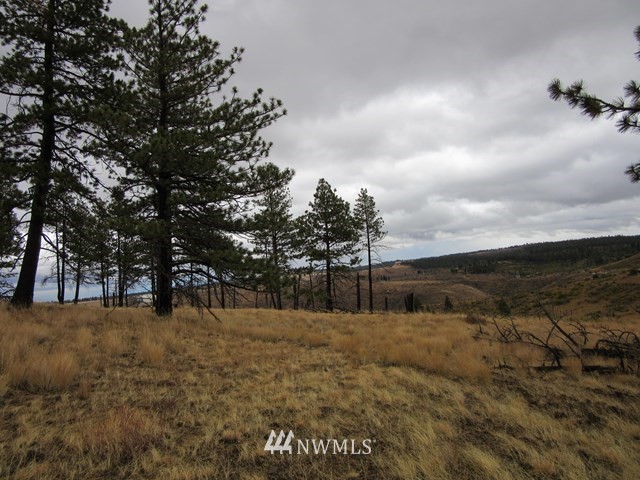 10 Dry Pataha Road Pomeroy, WA 99347 - Photo 9 of 9