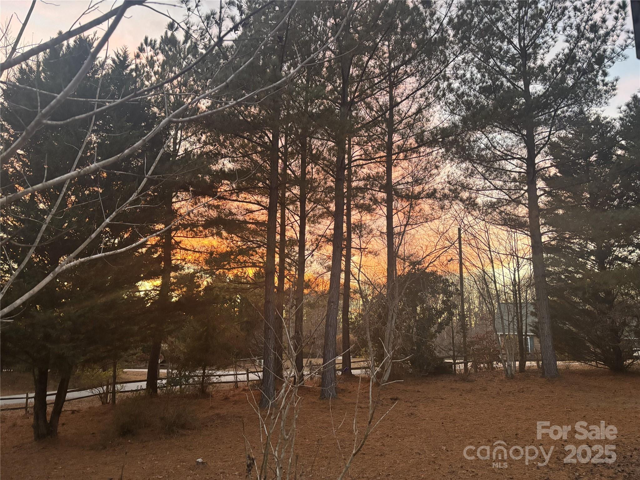 926 Cross Creek Drive Rutherfordton, NC 28139 - Photo 19 of 25 a view of outdoor space with trees