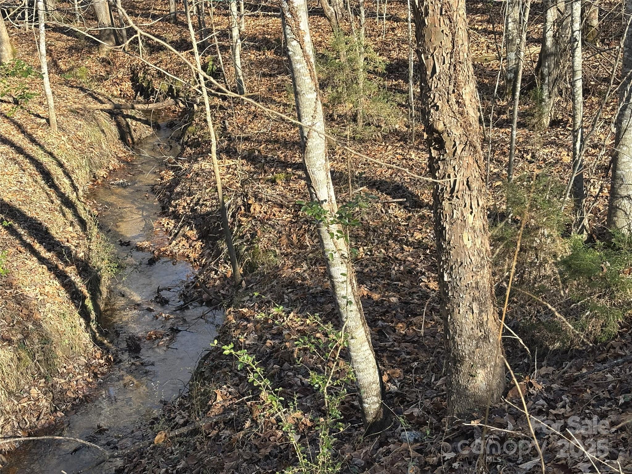 926 Cross Creek Drive Rutherfordton, NC 28139 - Photo 20 of 25 view of a yard