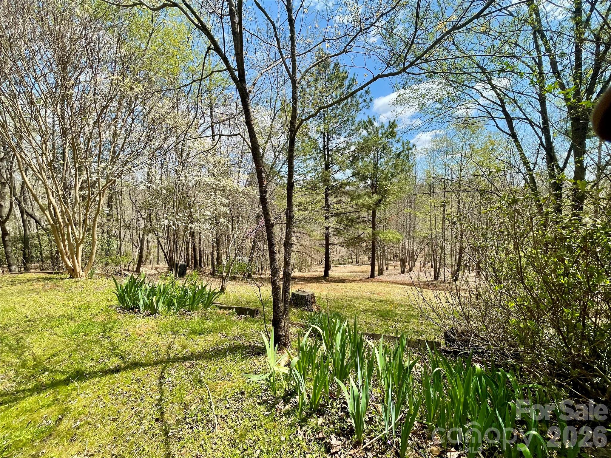 926 Cross Creek Drive Rutherfordton, NC 28139 - Photo 36 of 46