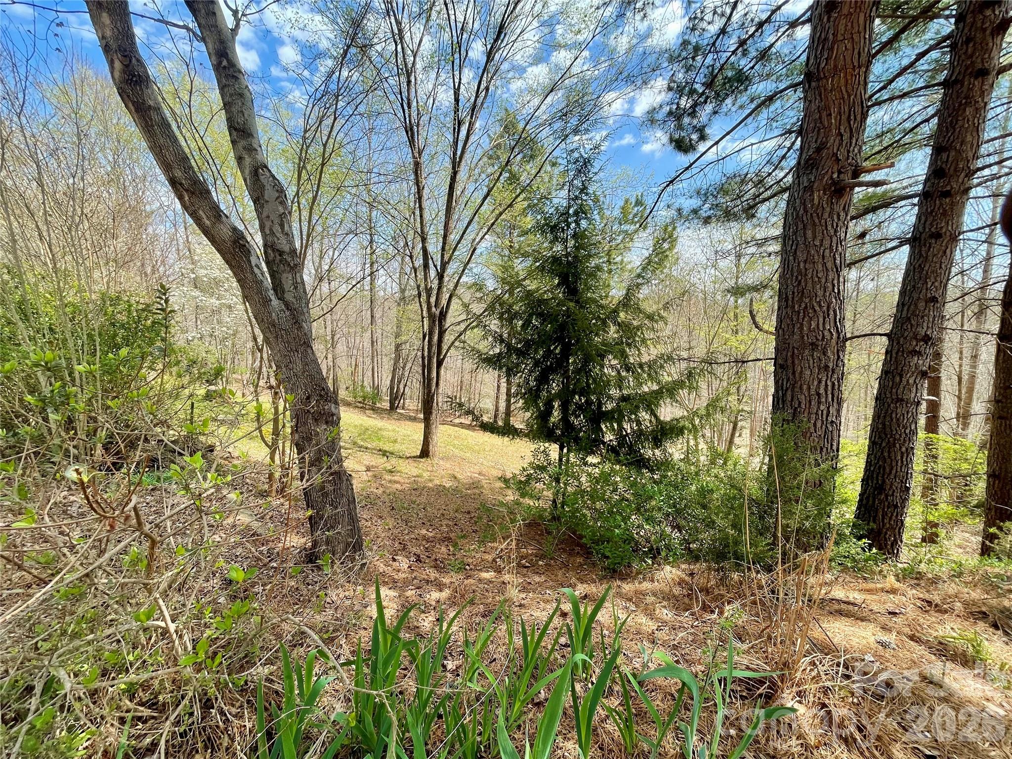 926 Cross Creek Drive Rutherfordton, NC 28139 - Photo 37 of 46