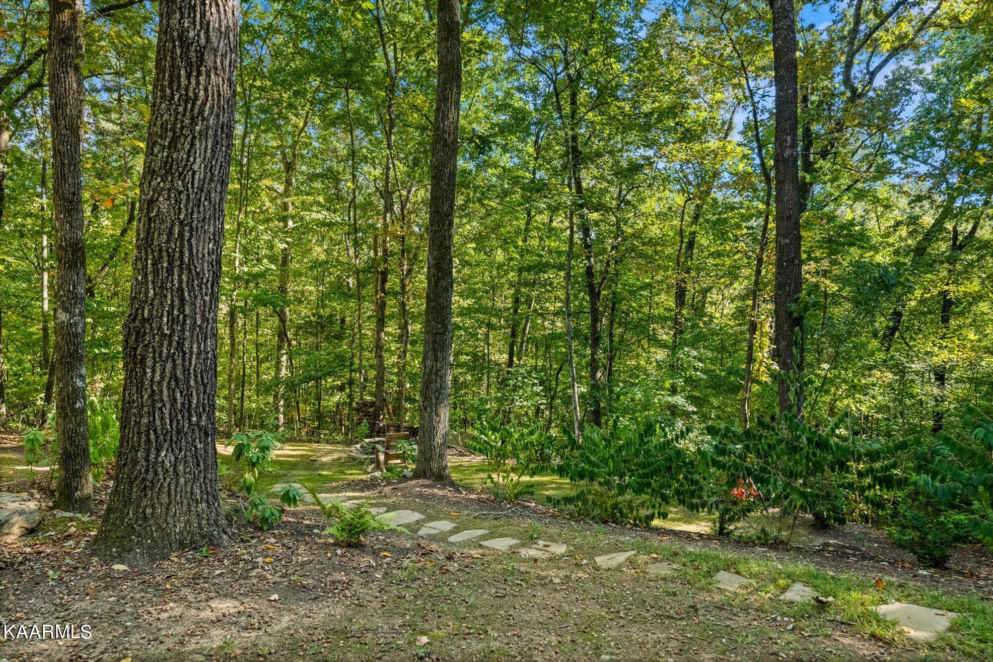 7322 Harvey Henry Road Corryton, TN 37721 - Photo 30 of 31 30-7322-Harvey-Henry-Rd-Corryton-TN-30