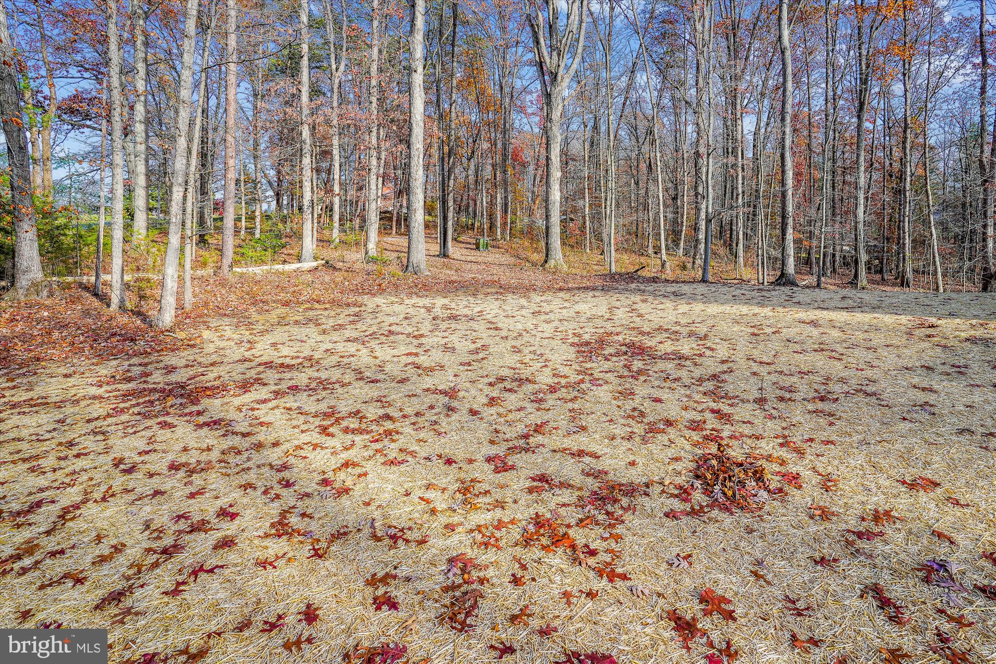 1 Norman Road Culpeper, VA 22701 - Photo 15 of 50 Front Yard