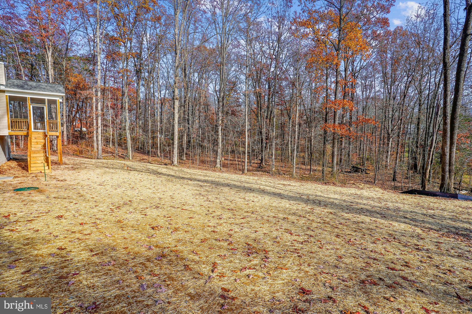 1 Norman Road Culpeper, VA 22701 - Photo 19 of 52 Back Yard