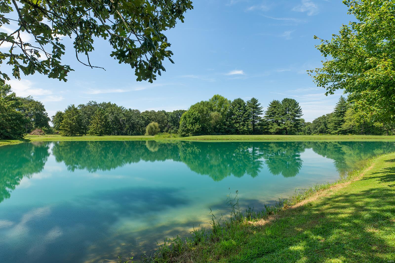 34686 Gun Club Road Brighton, IL 62012 - Photo 16 of 63