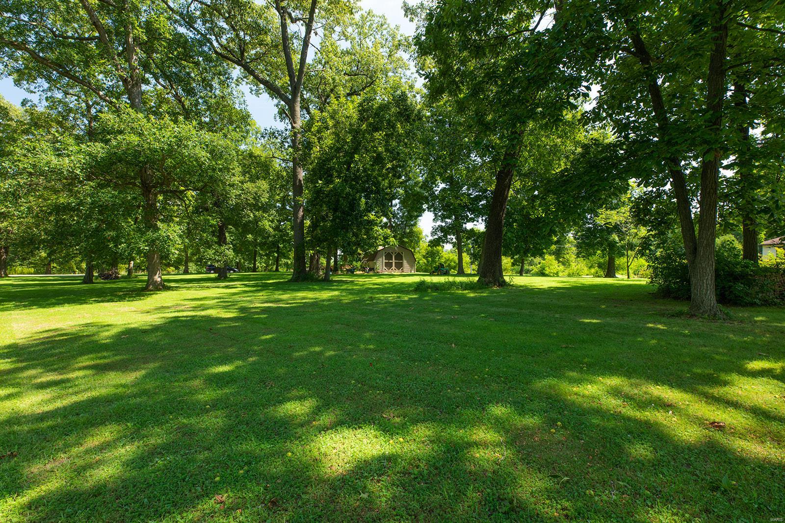 34686 Gun Club Road Brighton, IL 62012 - Photo 19 of 63