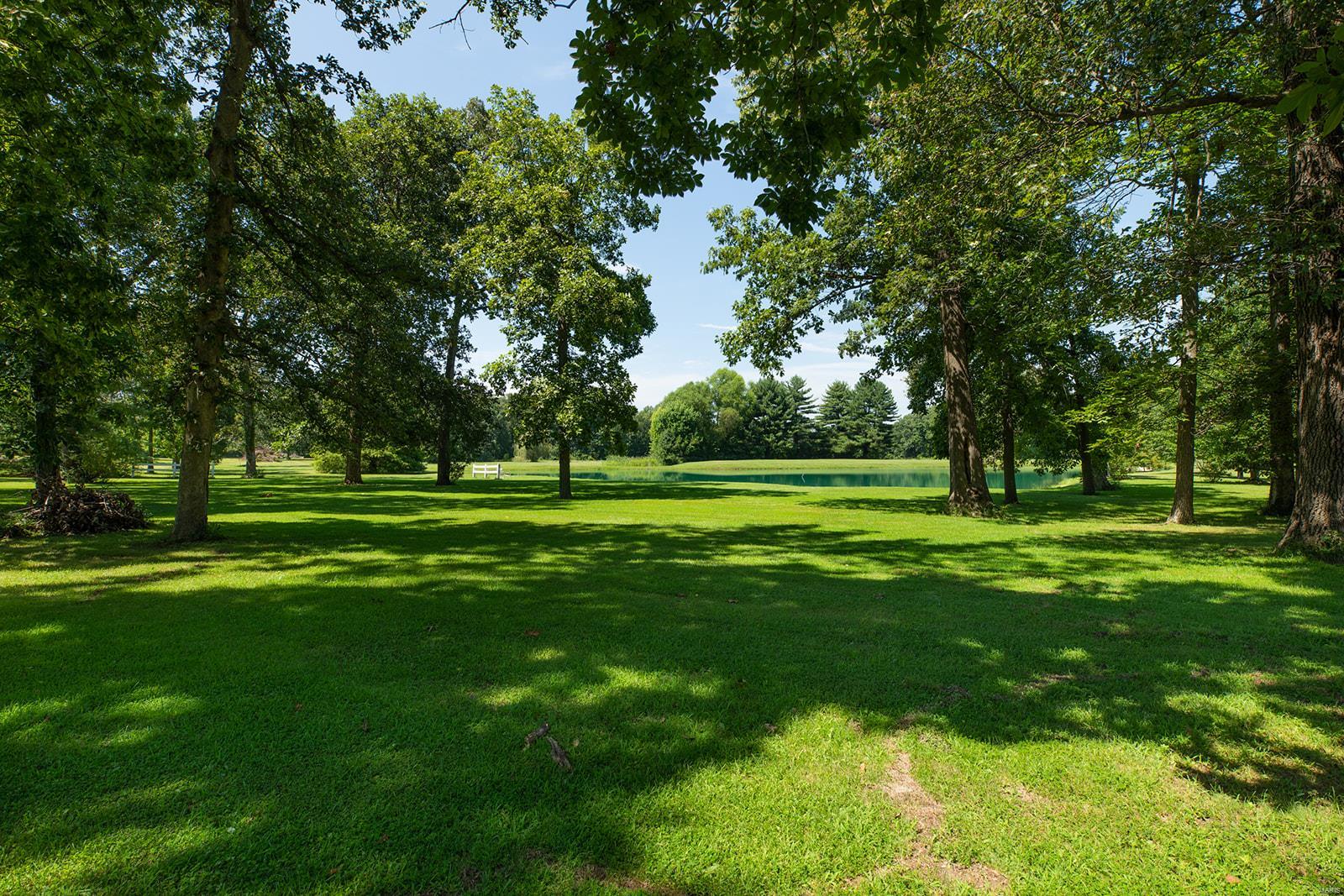 34686 Gun Club Road Brighton, IL 62012 - Photo 21 of 63