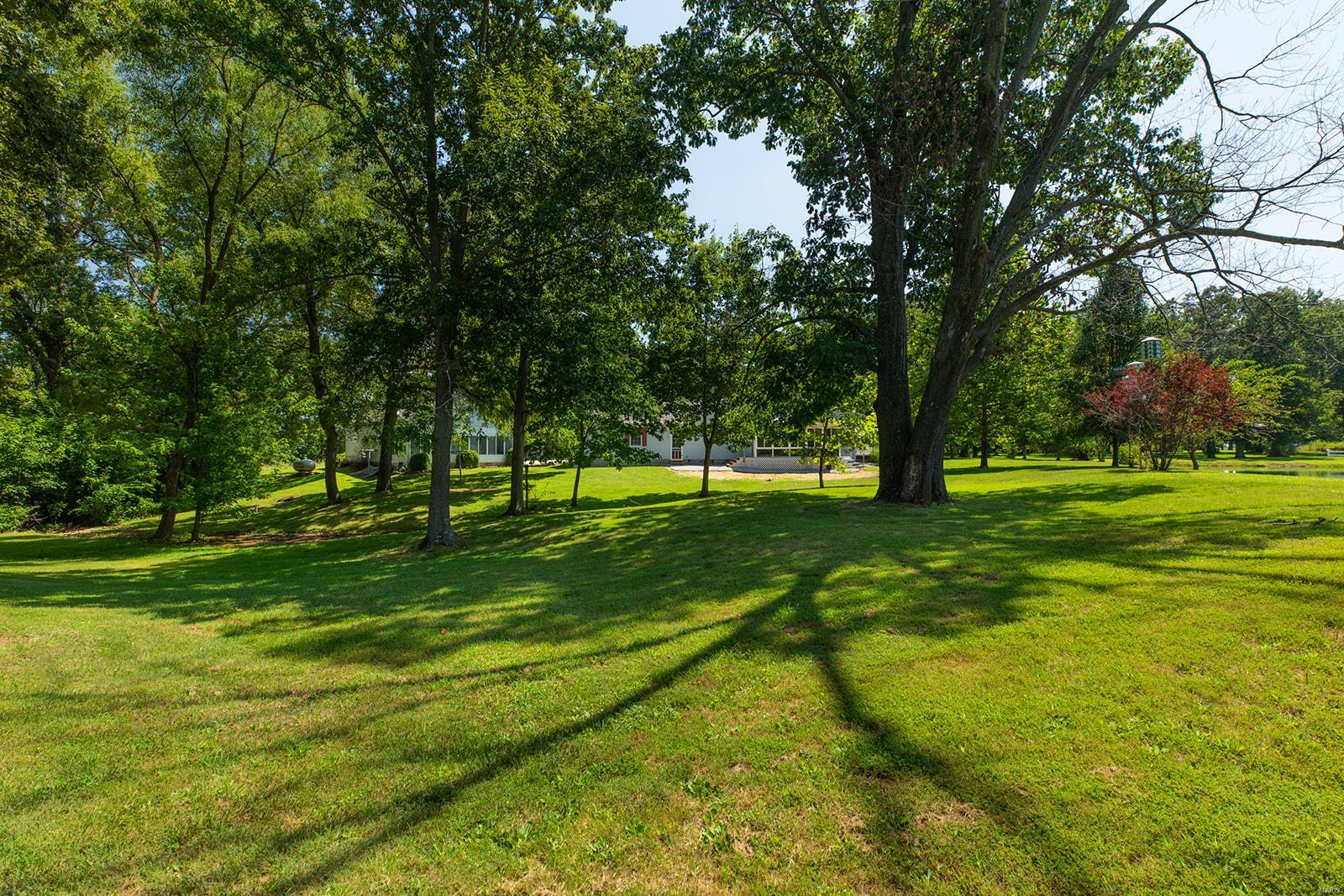 34686 Gun Club Road Brighton, IL 62012 - Photo 23 of 63