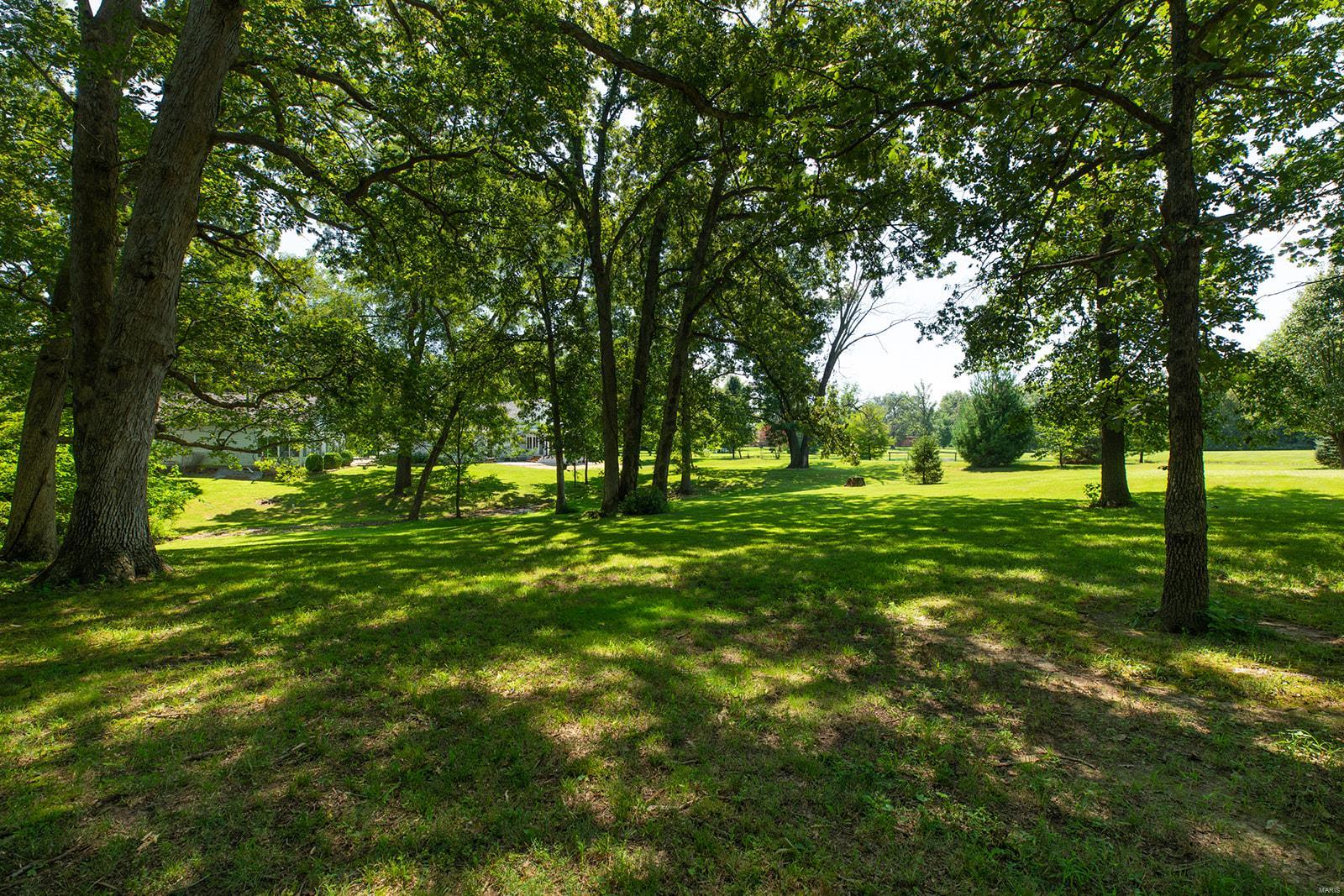 34686 Gun Club Road Brighton, IL 62012 - Photo 24 of 63