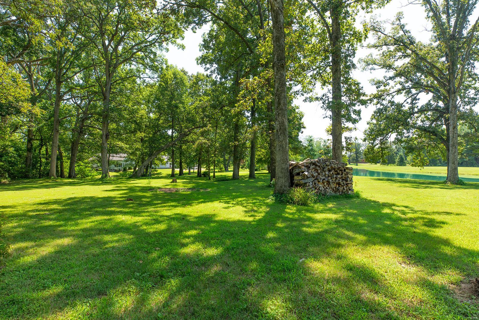 34686 Gun Club Road Brighton, IL 62012 - Photo 26 of 63