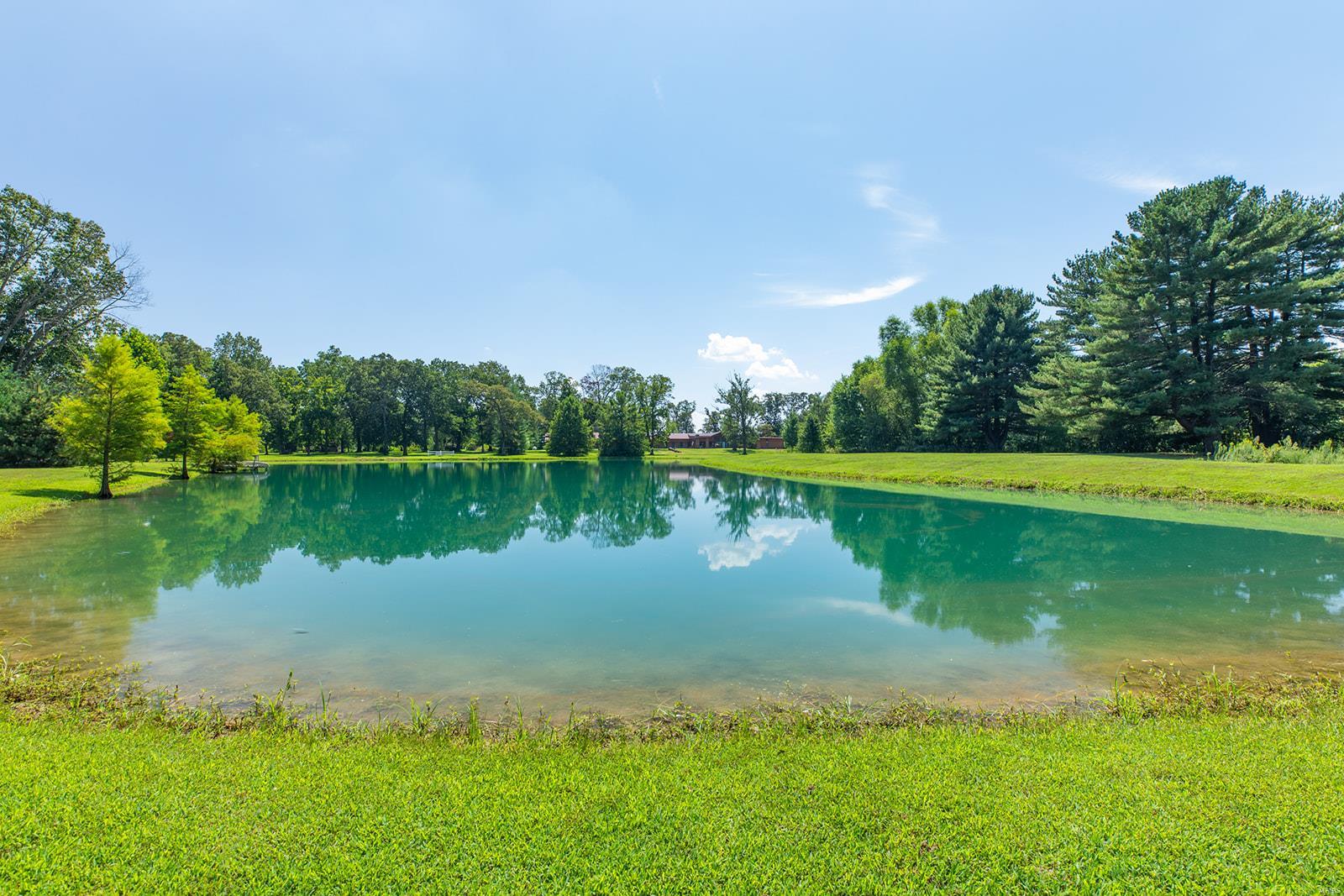 34686 Gun Club Road Brighton, IL 62012 - Photo 27 of 63