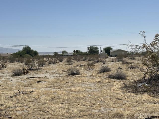 a view of a dry yard with trees