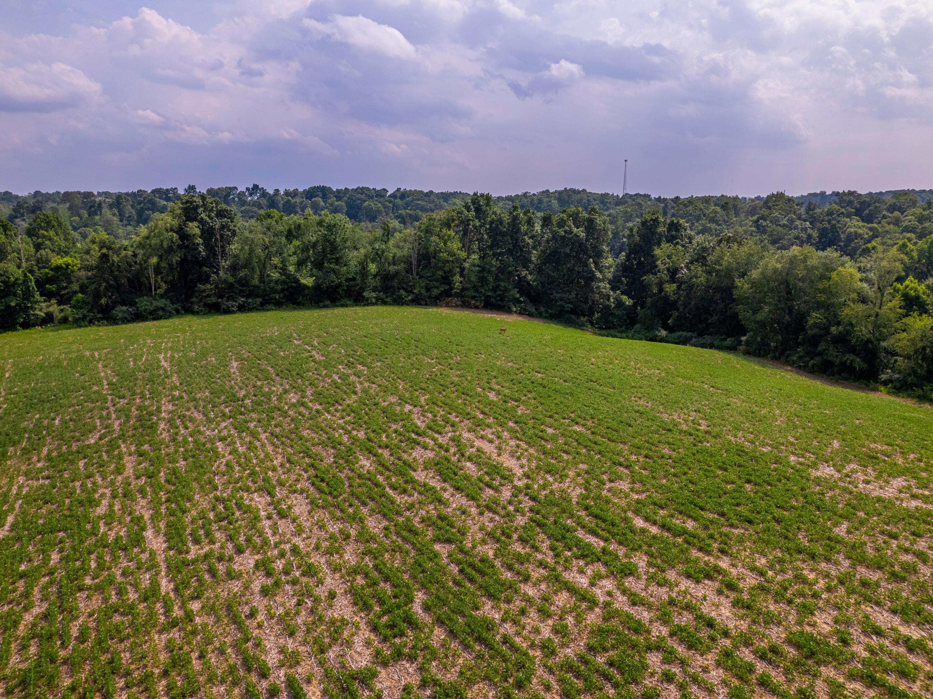12600 Gilchrist Road Mount Vernon, OH 43050 - Photo 16 of 64 perkins-PRINT_39