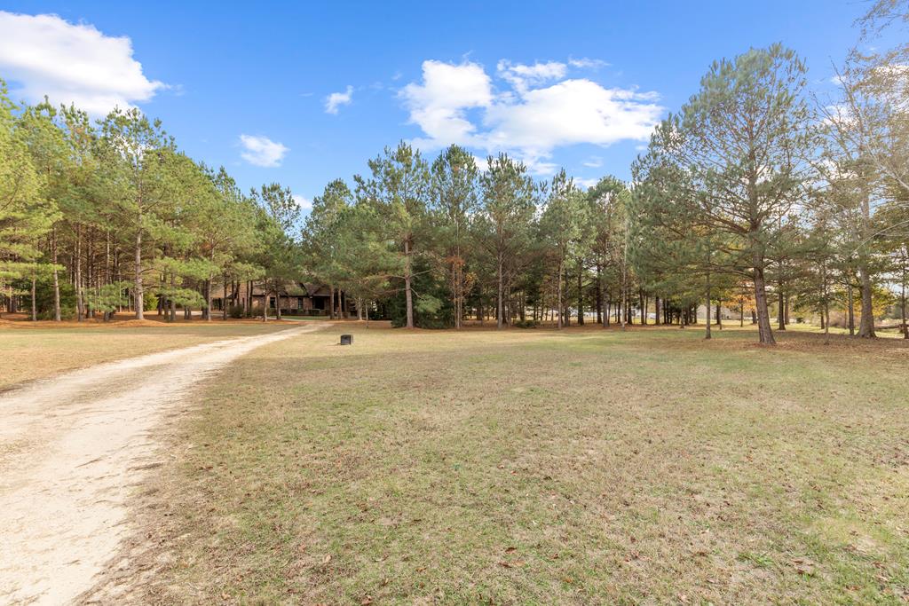 4221 Iris Road Dothan, AL 36301 - Photo 3 of 68