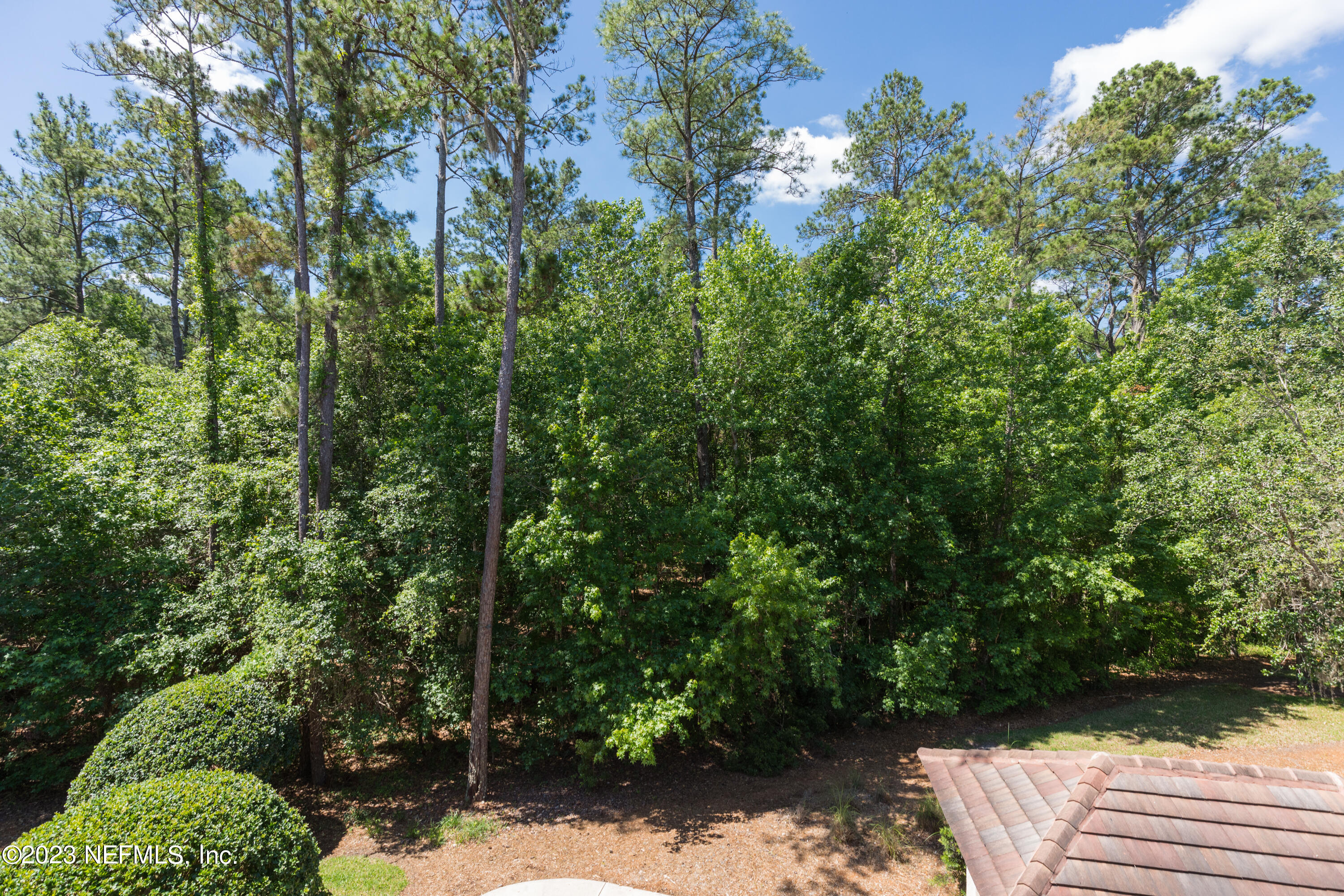965 Registry Boulevard, Unit 309 St. Augustine, FL 32092 - Photo 28 of 62 Wooded View