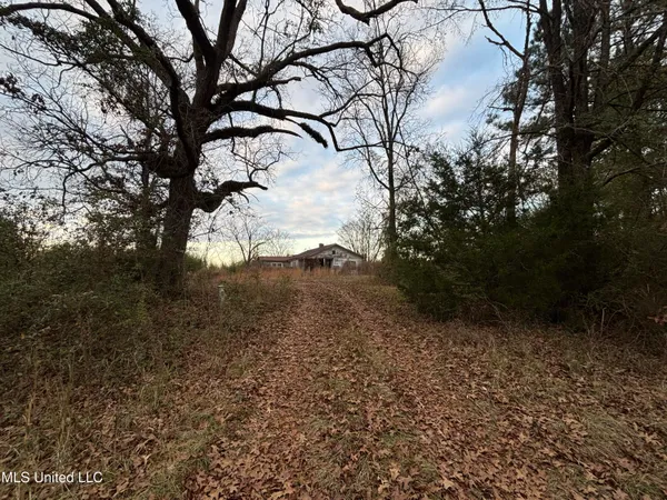 $249,250 | Roger Reid Road, Conehatta, MS 39057