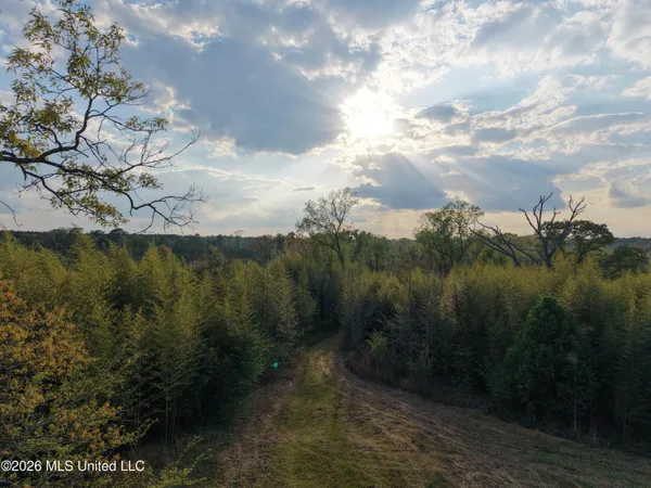 $229,310 | Roger Reid Road, Conehatta, MS 39057