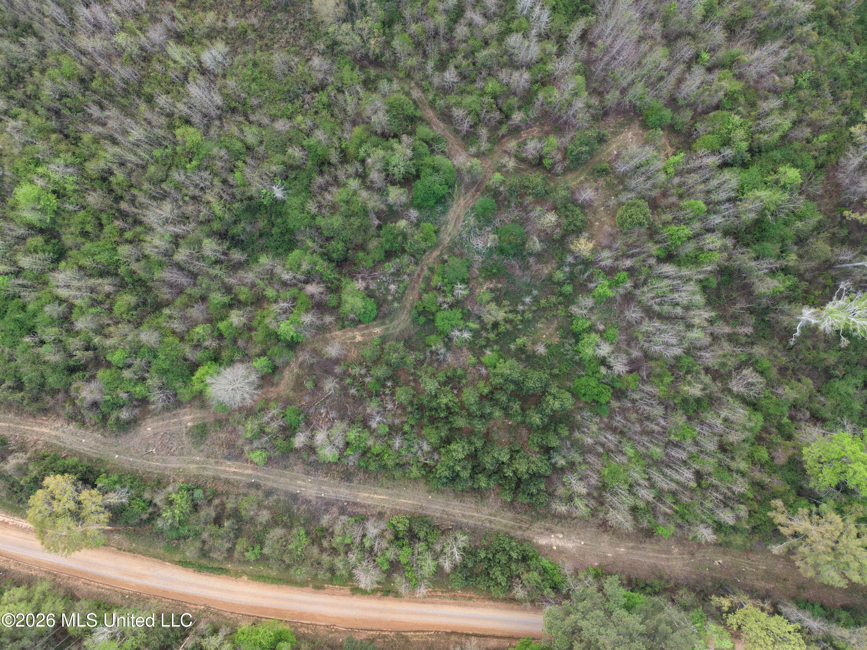 Roger Reid Road Conehatta, MS 39057 - Photo 12 of 18 dji_fly_20260327_131534_0012_17751005748