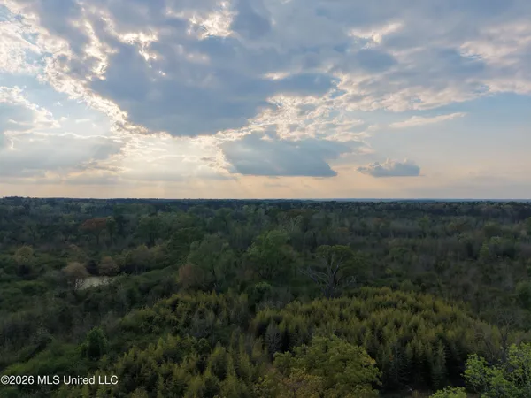$229,310 | Roger Reid Road, Conehatta, MS 39057