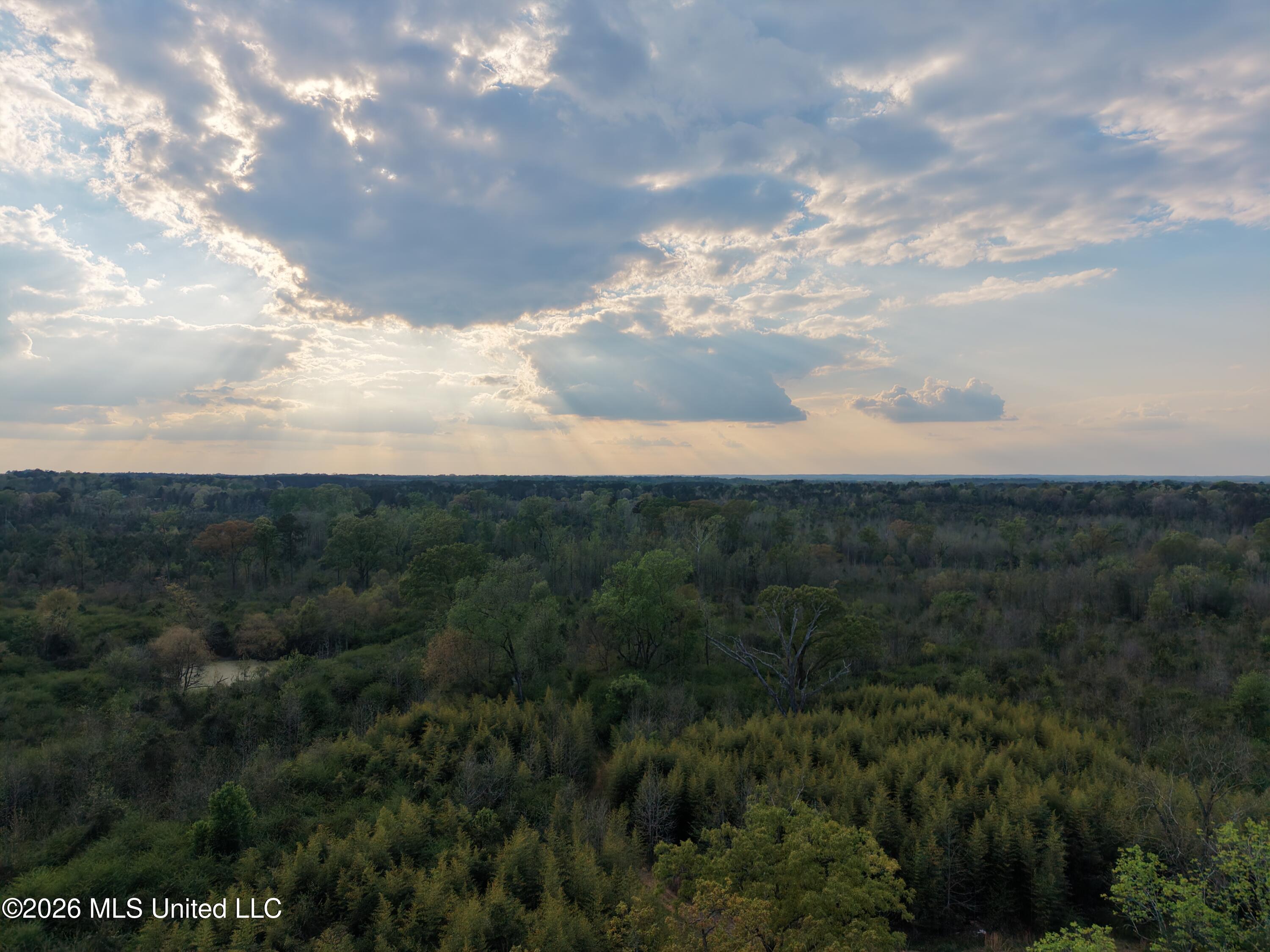Roger Reid Road Conehatta, MS 39057 - Photo 15 of 18 drone 2 newton