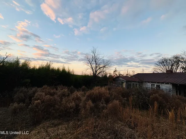 $249,250 | Roger Reid Road, Conehatta, MS 39057