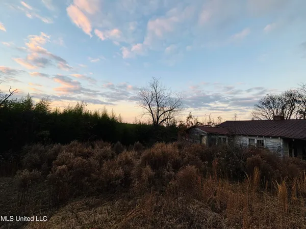 $229,310 | Roger Reid Road, Conehatta, MS 39057