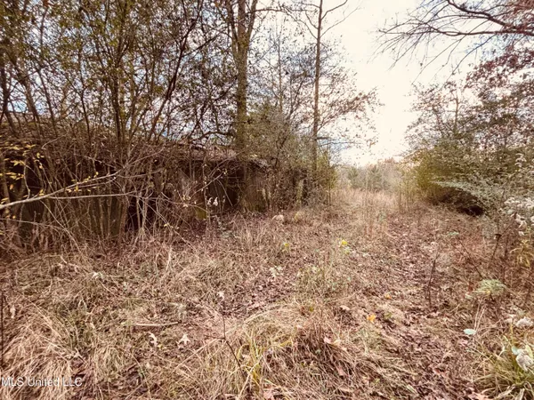 $229,310 | Roger Reid Road, Conehatta, MS 39057