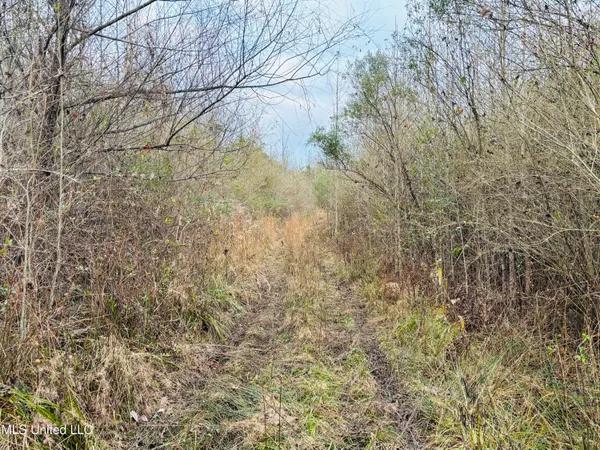 $229,310 | Roger Reid Road, Conehatta, MS 39057