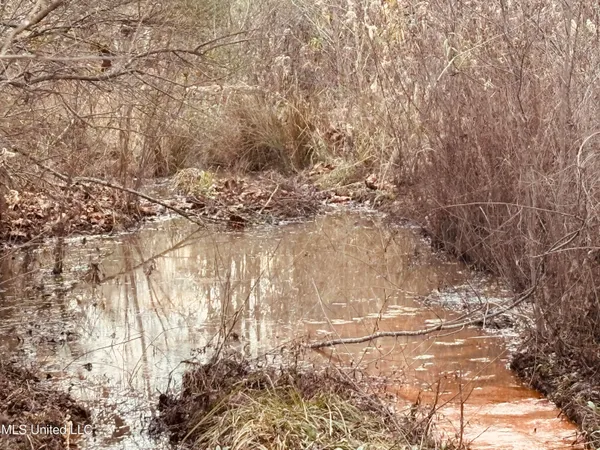 $249,250 | Roger Reid Road, Conehatta, MS 39057