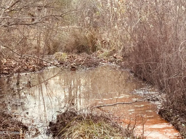 $249,250 | Roger Reid Road, Conehatta, MS 39057