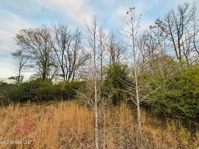 $249,250 | Roger Reid Road, Conehatta, MS 39057