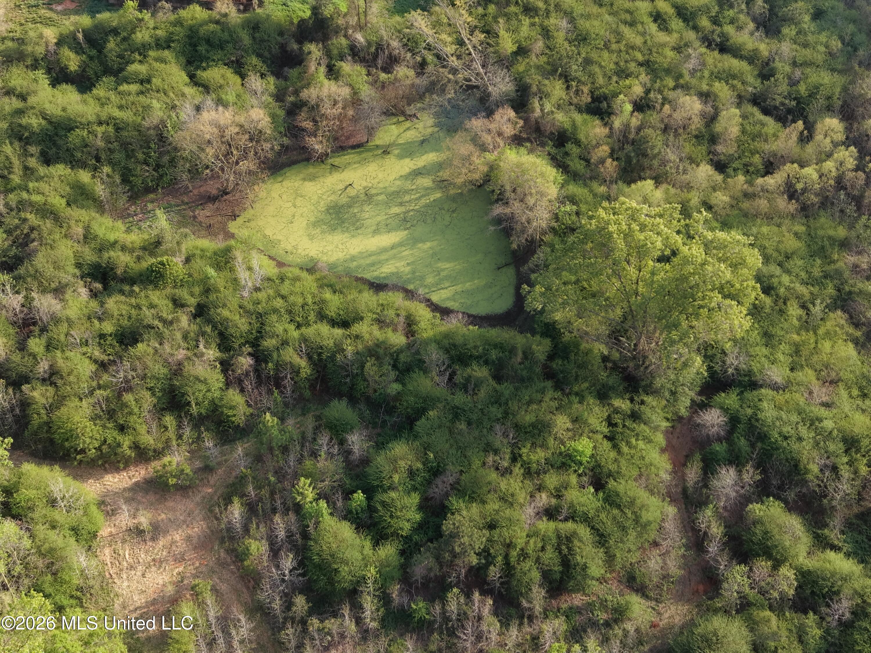 Roger Reid Road Conehatta, MS 39057 - Photo 6 of 18 drone 4 newton