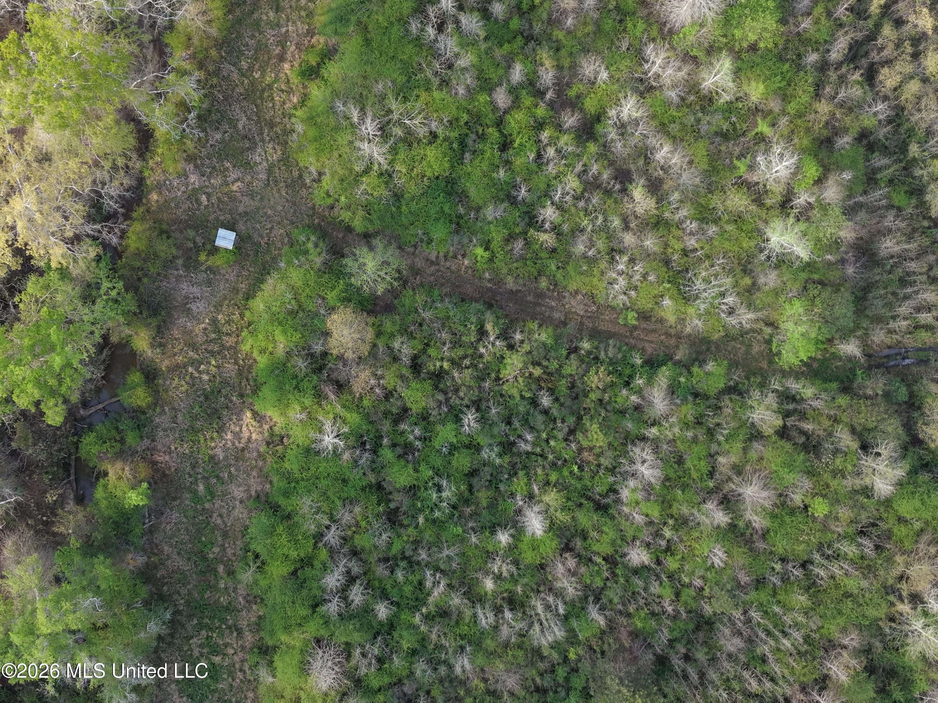 Roger Reid Road Conehatta, MS 39057 - Photo 7 of 18 dji_fly_20260327_130550_0009_17751005924