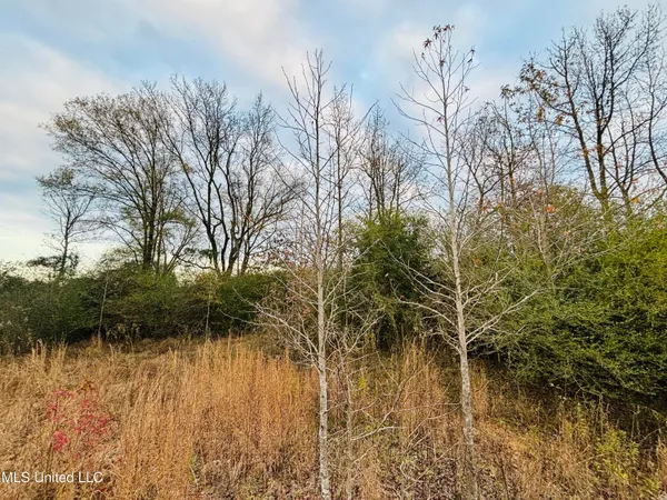 $229,310 | Roger Reid Road, Conehatta, MS 39057