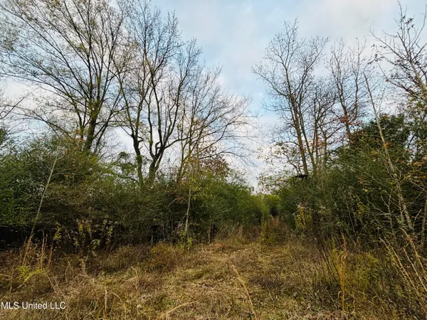 $249,250 | Roger Reid Road, Conehatta, MS 39057