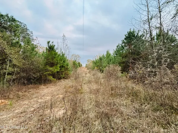 $229,310 | Roger Reid Road, Conehatta, MS 39057