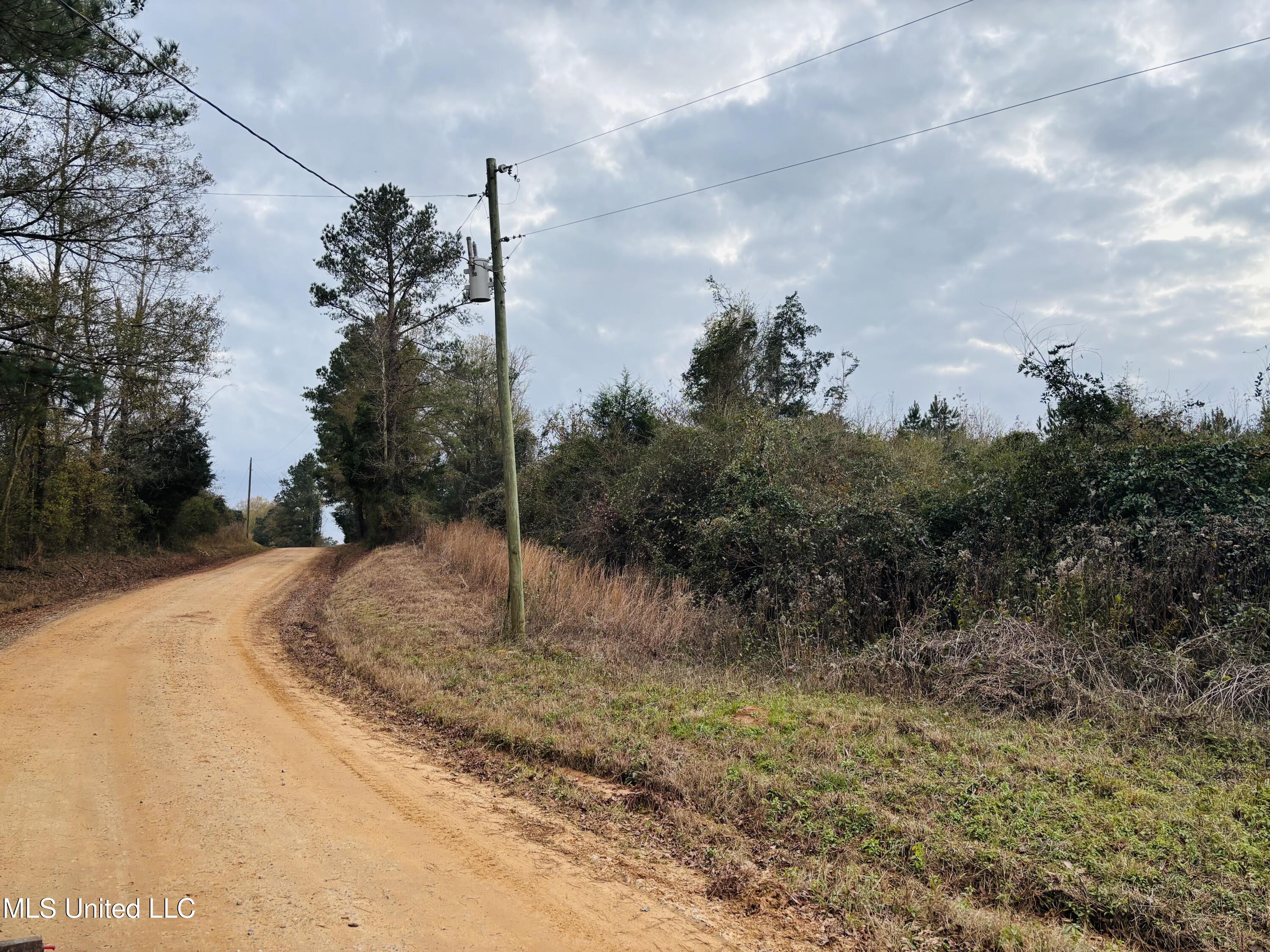 Roger Reid Road Conehatta, MS 39057 - Photo 10 of 12 IMG_E3684
