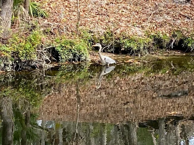 $895,000 | 8312 Revels Road, Riverview, FL 33569