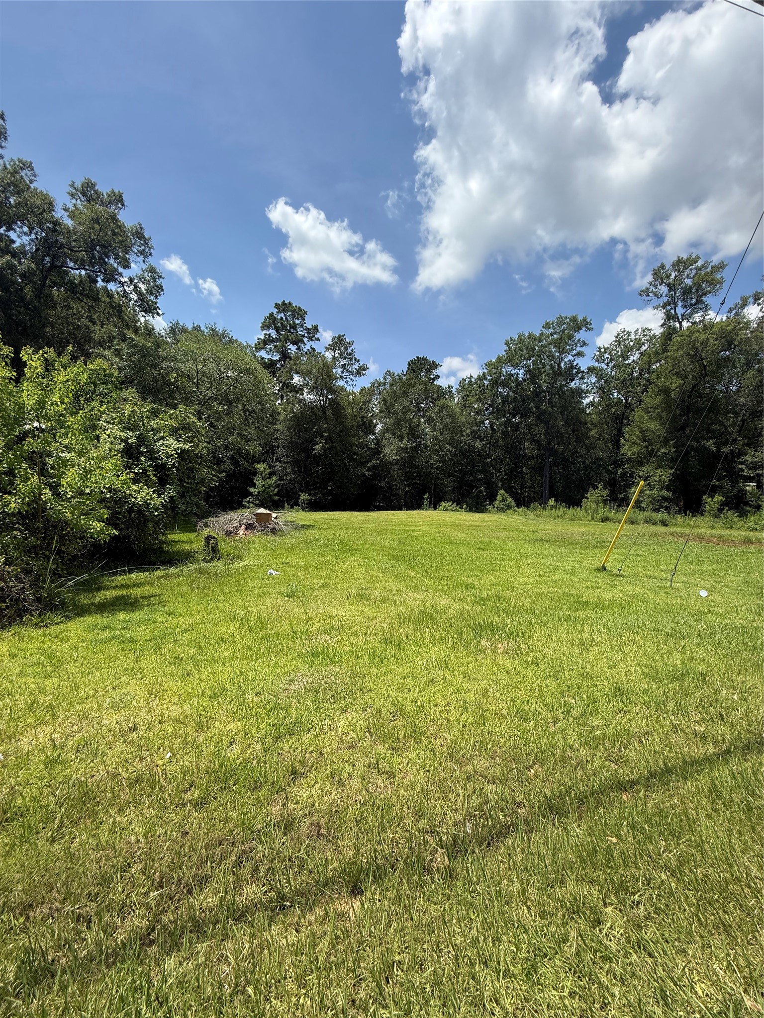 Lot 15-16 Frontier Road Willis, TX 77378 - Photo 3 of 6