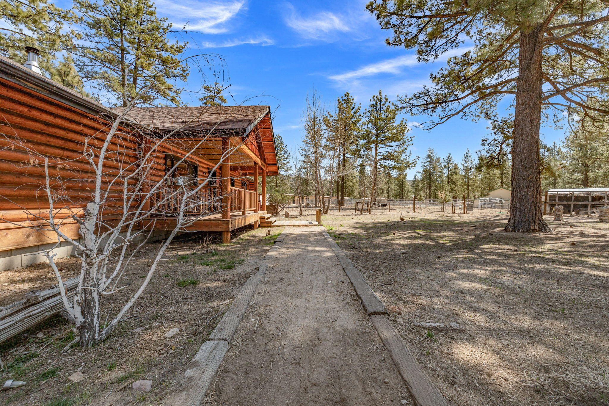60640 Table Mountain Road Mountain Center, CA 92561 - Photo 30 of 53 a view of a yard with a tree