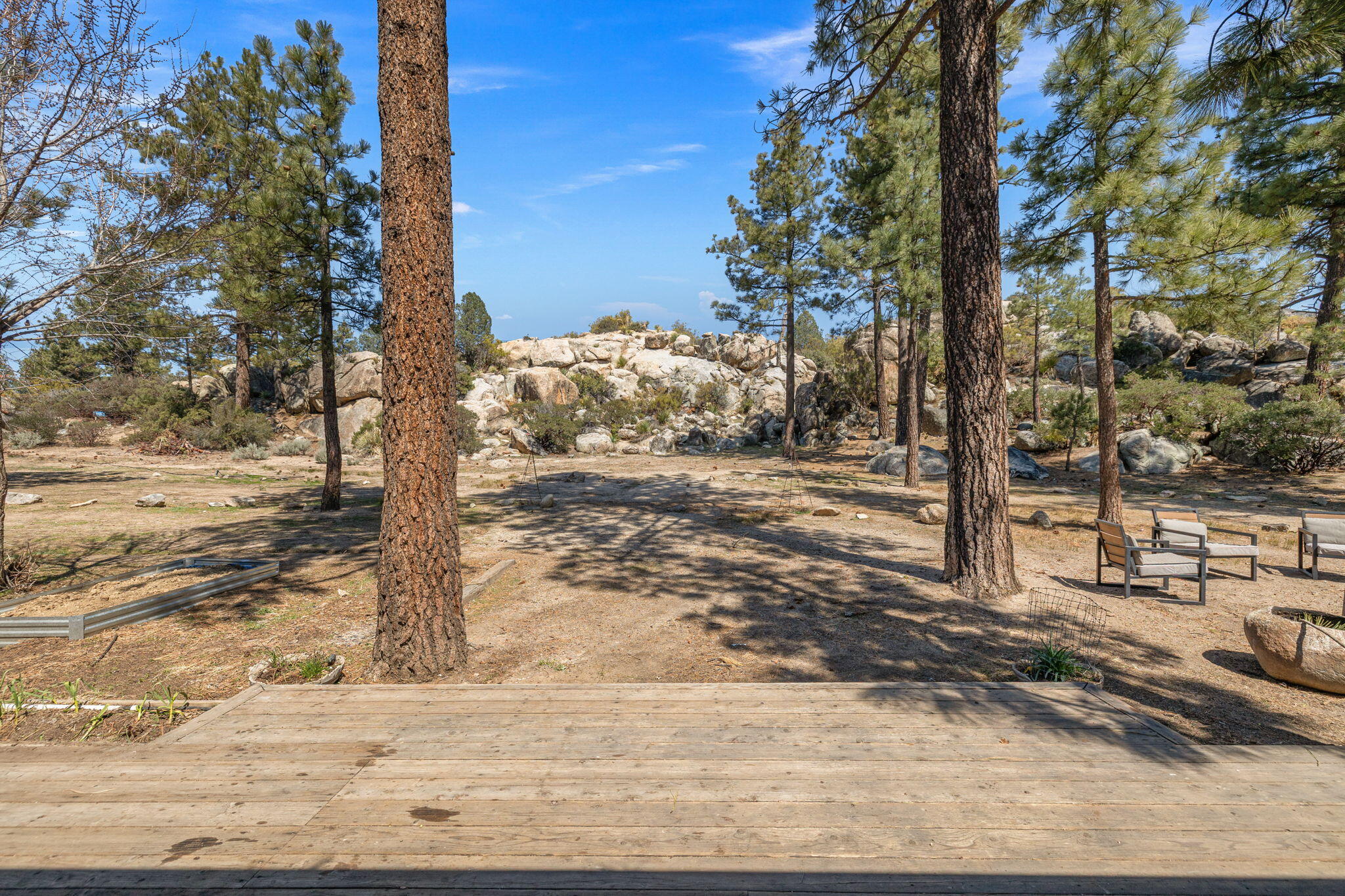 60640 Table Mountain Road Mountain Center, CA 92561 - Photo 43 of 53 a view of a yard with trees
