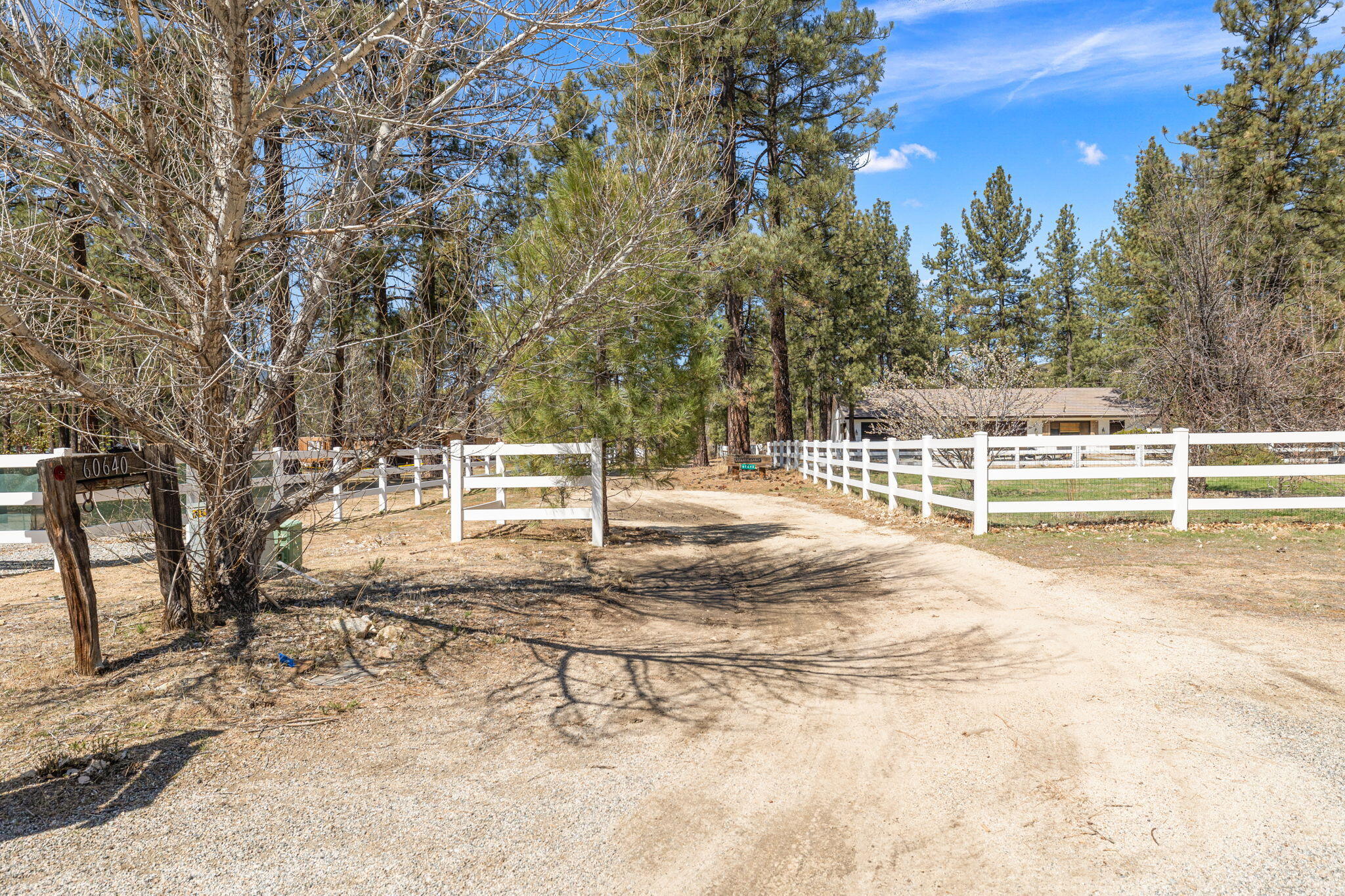 60640 Table Mountain Road Mountain Center, CA 92561 - Photo 49 of 53 23-web-or-mls-8M4A4433