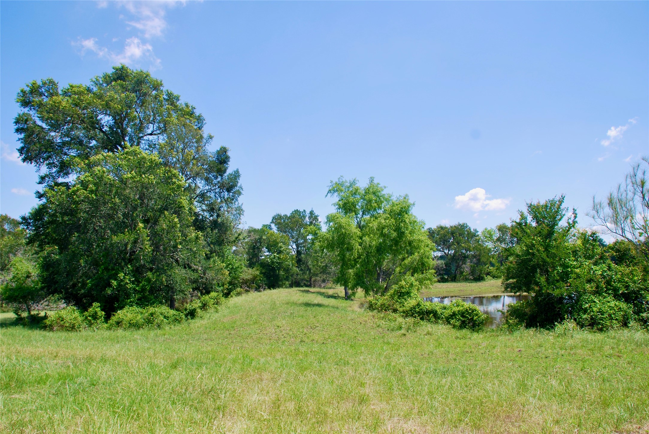 3703 Muehr Road Weimar, TX 78962 - Photo 6 of 29