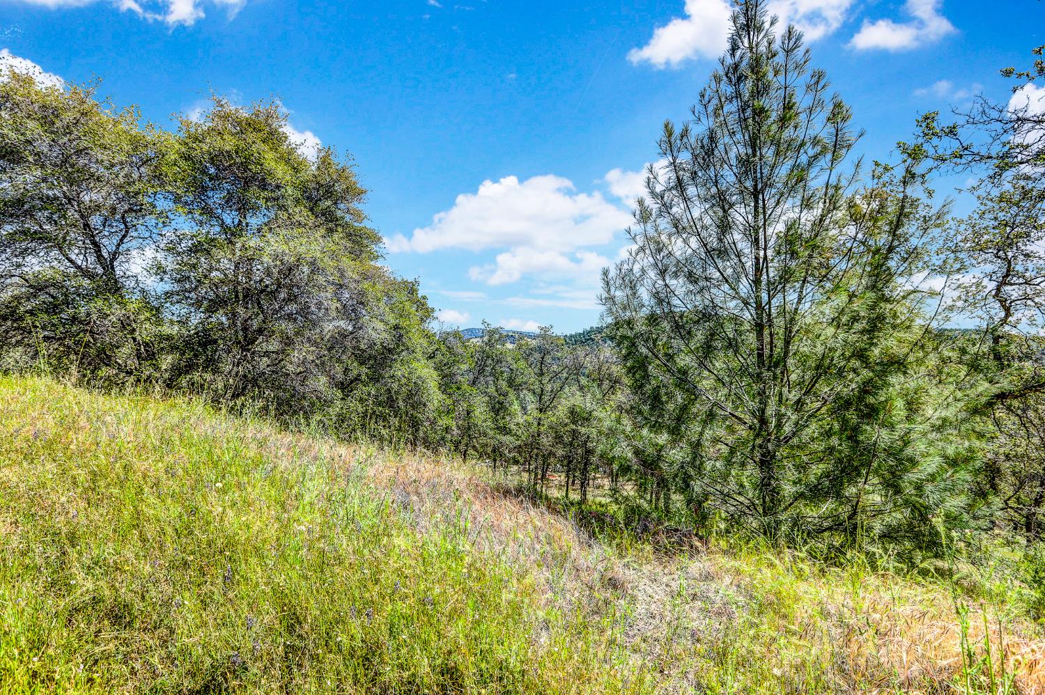 29 Township Road Browns Valley, CA 95918 - Photo 7 of 62 Gallery Image 7